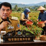 Terkait Pasokan Cabai dari Luar Daerah, Pemprov Sulut Wajib Menjaga Keseimbangan antara Kepentingan Petani dan Masyarakat